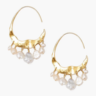 Gold hoop earrings with pearl drops on a white background