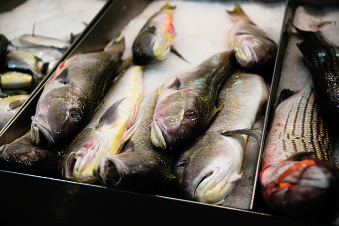 Fresh fish at the Fulton Street Fish Market 