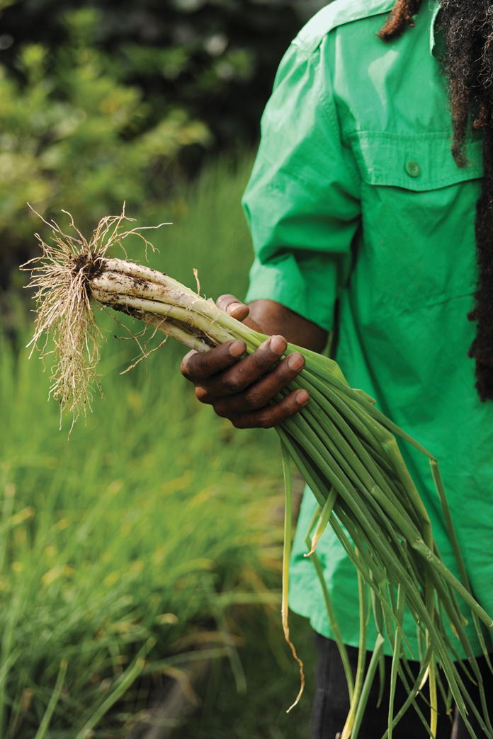 A local Kittitian farmer