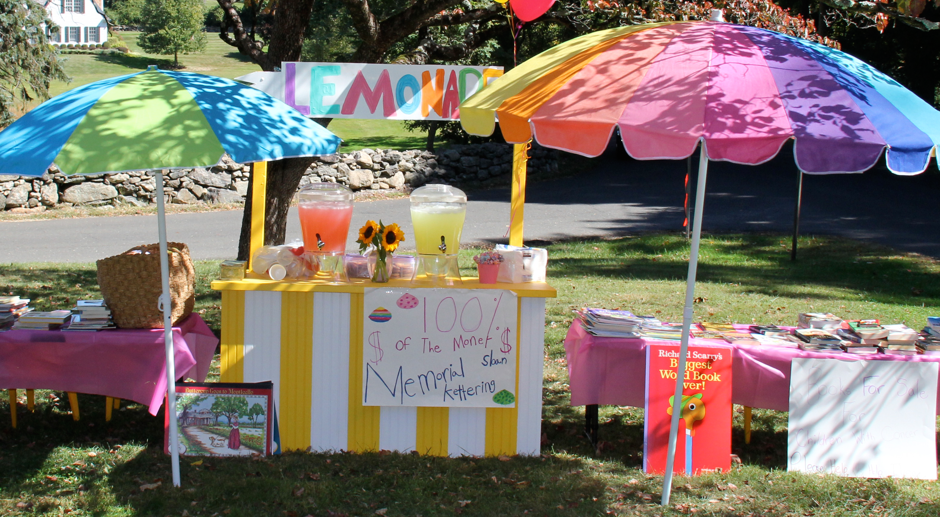 katarina-erdmann-lemonade-stand