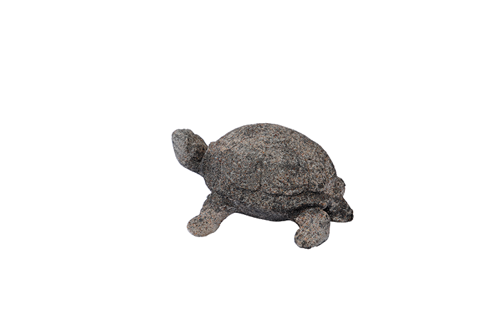 Garden-turtle