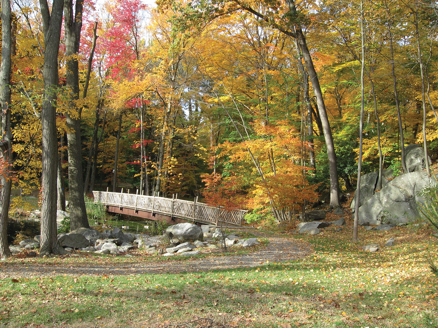 Fall Hikes - Gelnville Woods