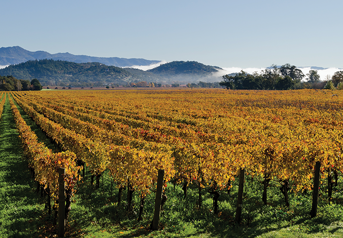 Napa Valley Usa