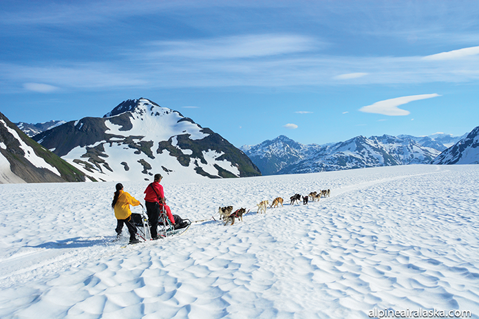 AnimalEncounters_Glacier-Dog-Sledding