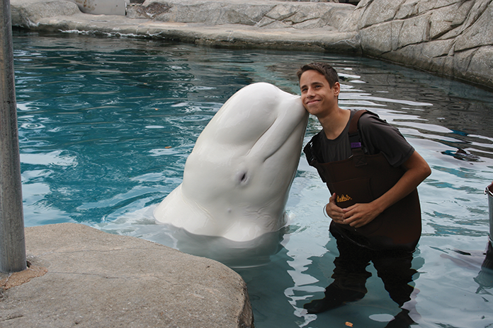 AnimalEncounters_Whale