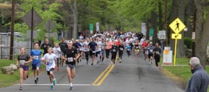 serendipity fun run