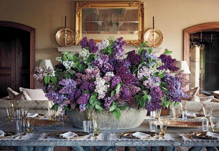 Martha Stewart