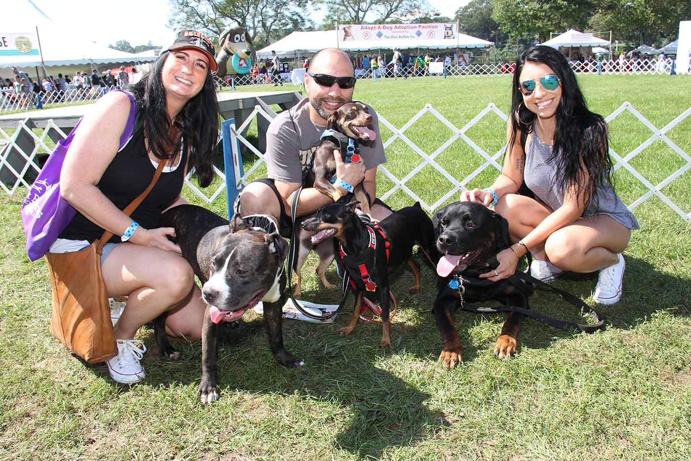 adopt a dog event