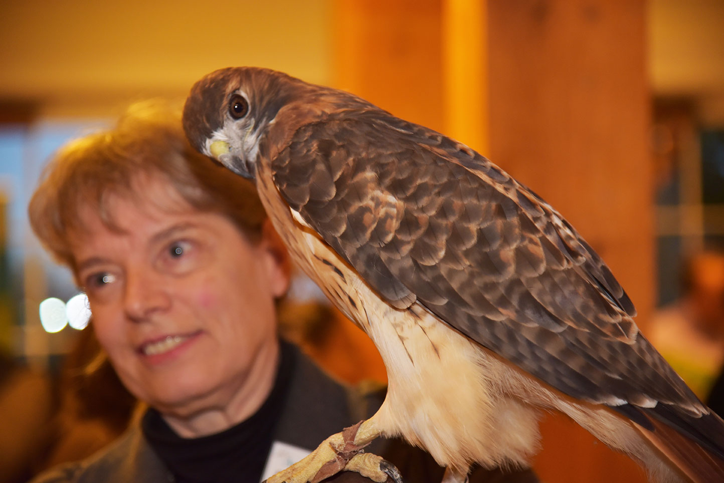 audubon greenwich gala