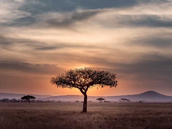 sunset on safari