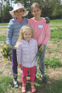 Volunteers lending a helping hand at GLT's Mueller Preserve