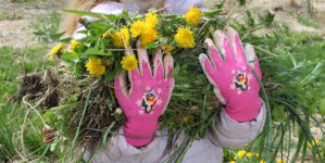 Earth Day volunteer weeds the meadow