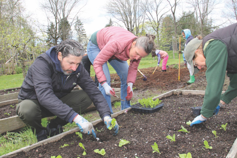 Harriet Williams joins volunteers to help plant the vegetable garden