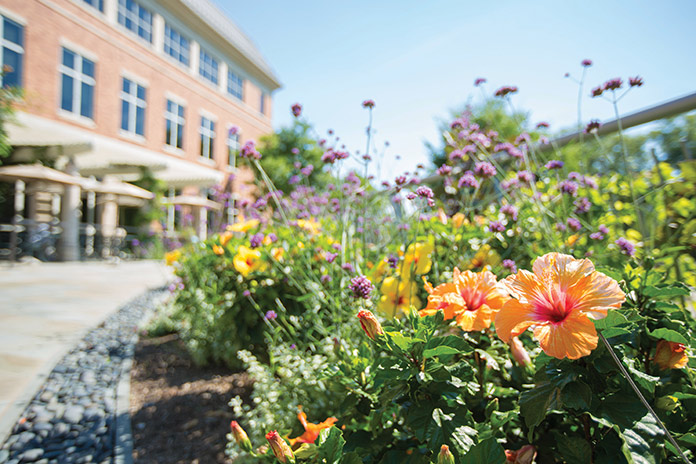 A garden at Greenwich Hospital
