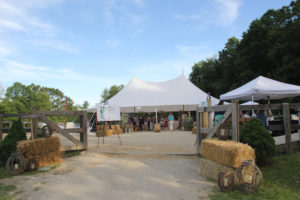 Tent