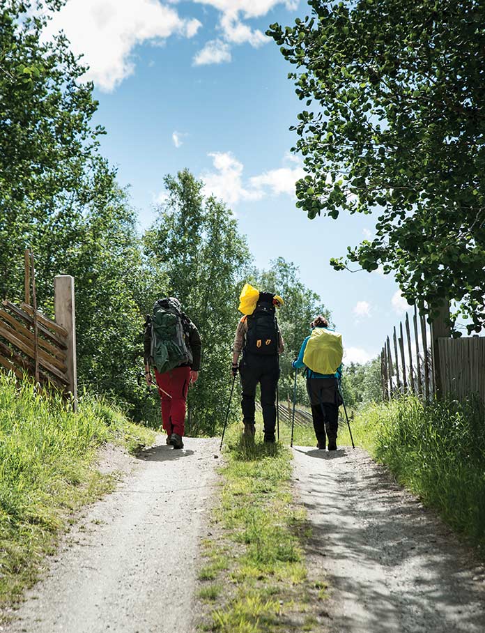 Hiking in Norway 