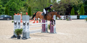 Image from Ox Ridge Charity Horse Show