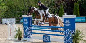 Image from Ox Ridge Charity Horse Show