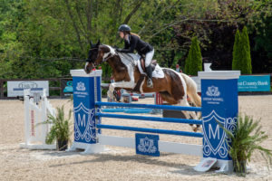 Image from Ox Ridge Charity Horse Show