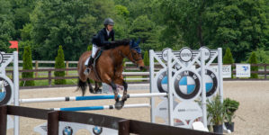 Image from Ox Ridge Charity Horse Show