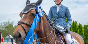 Image from Ox Ridge Charity Horse Show