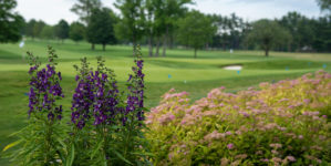 Image from Autism Speaks Celebrity Golf Challenge