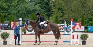 Image from Ox Ridge Charity Horse Show