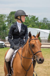 Image from Ox Ridge Charity Horse Show