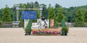 Image from Ox Ridge Charity Horse Show