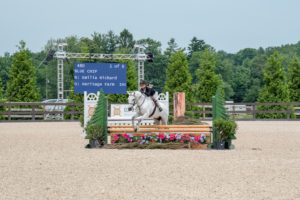 Image from Ox Ridge Charity Horse Show