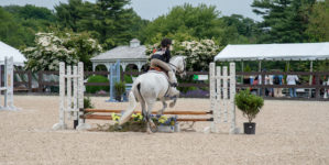 Image from Ox Ridge Charity Horse Show