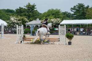 Image from Ox Ridge Charity Horse Show