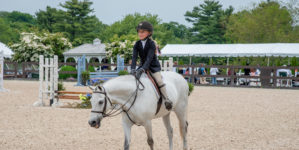 Image from Ox Ridge Charity Horse Show