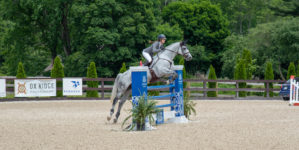 Image from Ox Ridge Charity Horse Show