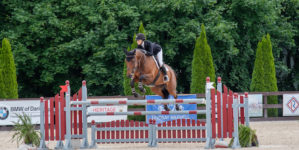 Image from Ox Ridge Charity Horse Show