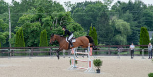 Image from Ox Ridge Charity Horse Show