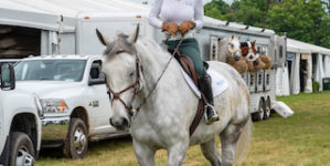 Image from Ox Ridge Charity Horse Show