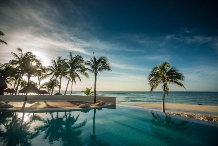 beach with palm trees